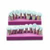 Series of 16 Didactic Teeth Prof. Mainardi