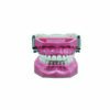 Mouth on occlusor – removable teeth with truncated roots