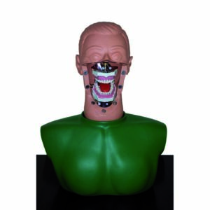 Latest generation mannequin with torso