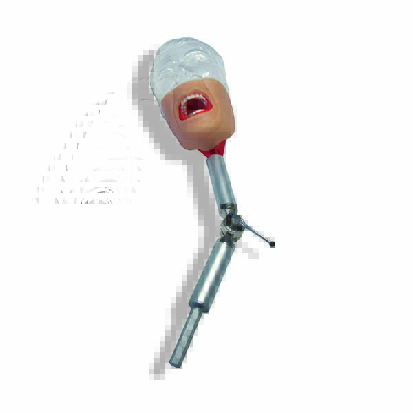 Manichino con supporto a pantografo