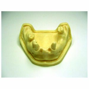 Modello esercitazioni implantologia mandibola